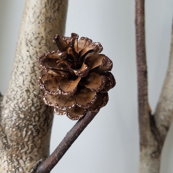 Glittered Pinecones - Picture 7 of 11